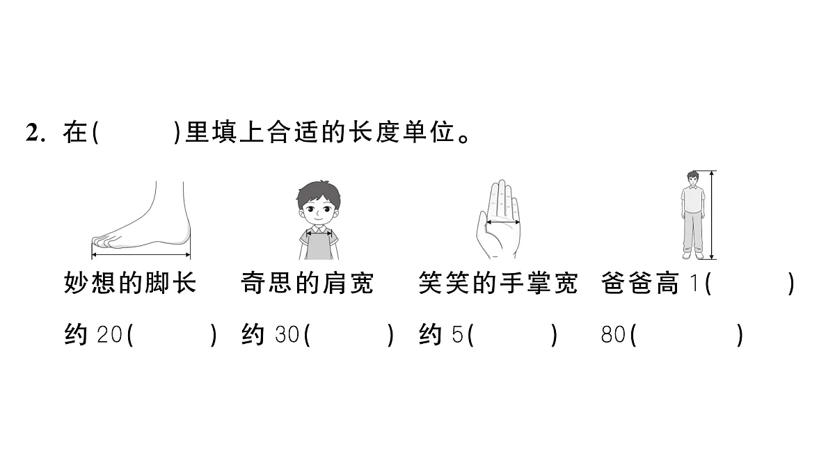 18448803第3页