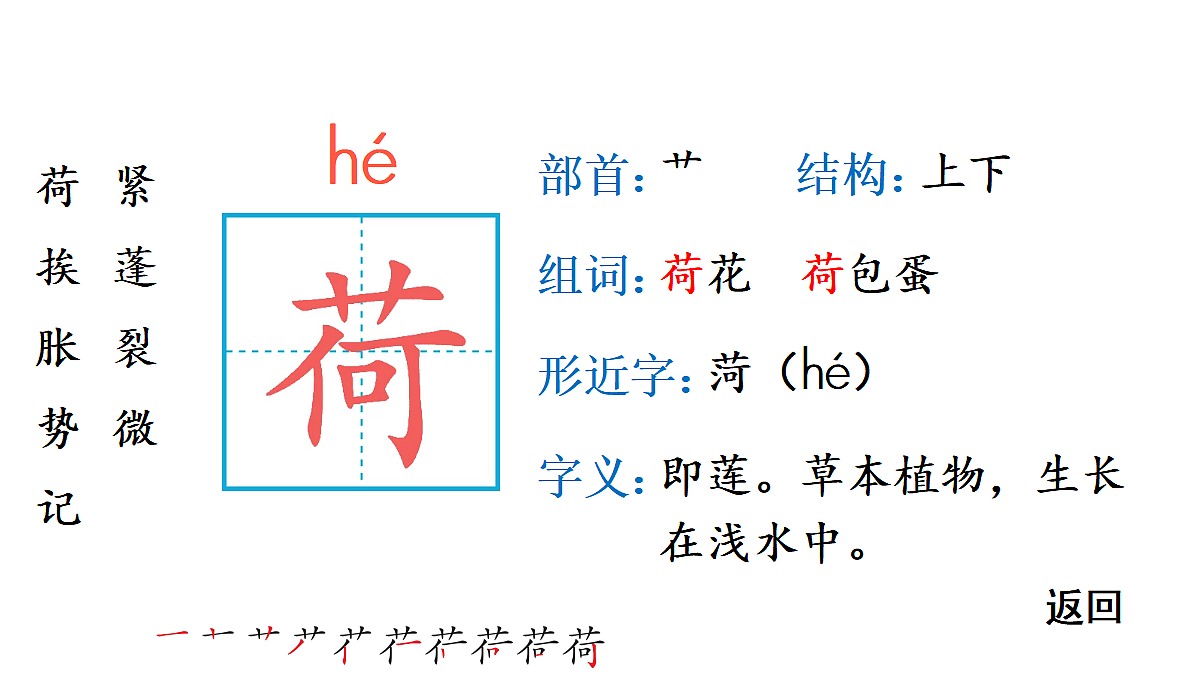 18448809第3页