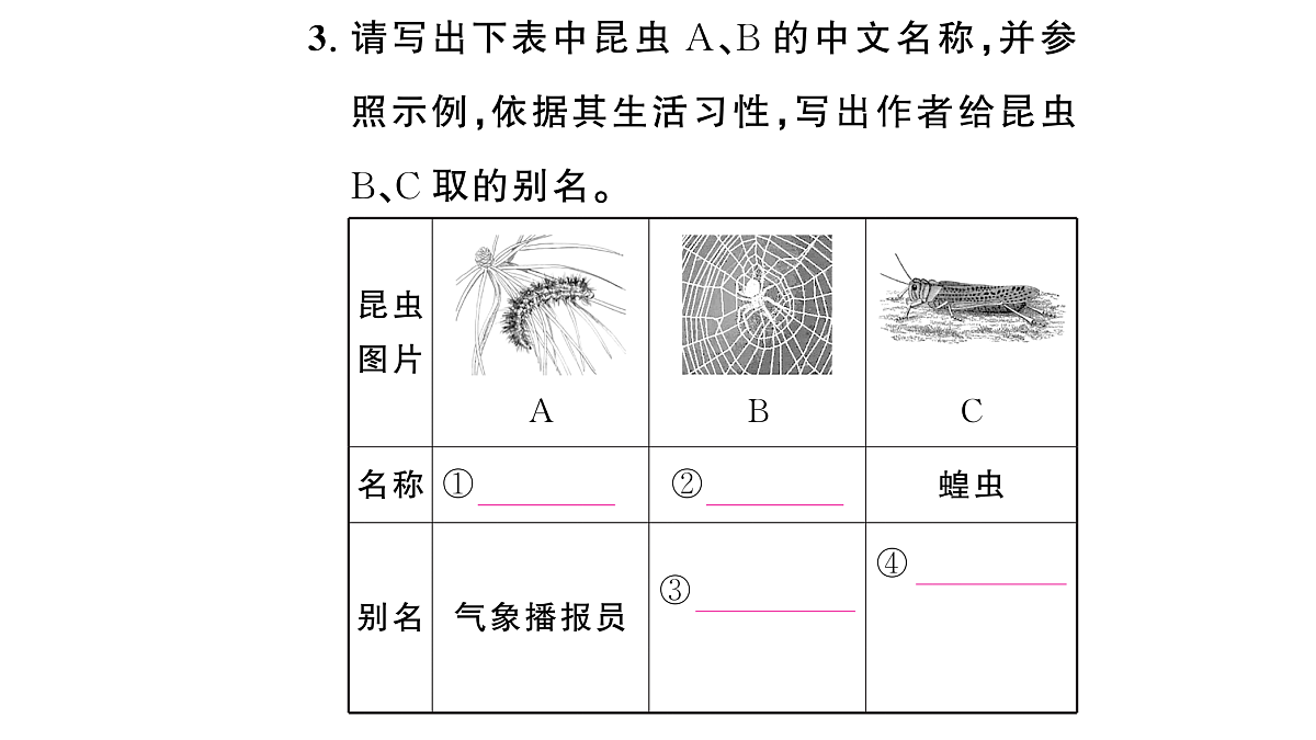18448829第4页