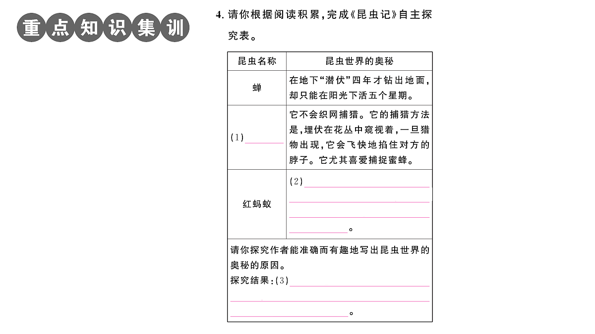 18448829第5页
