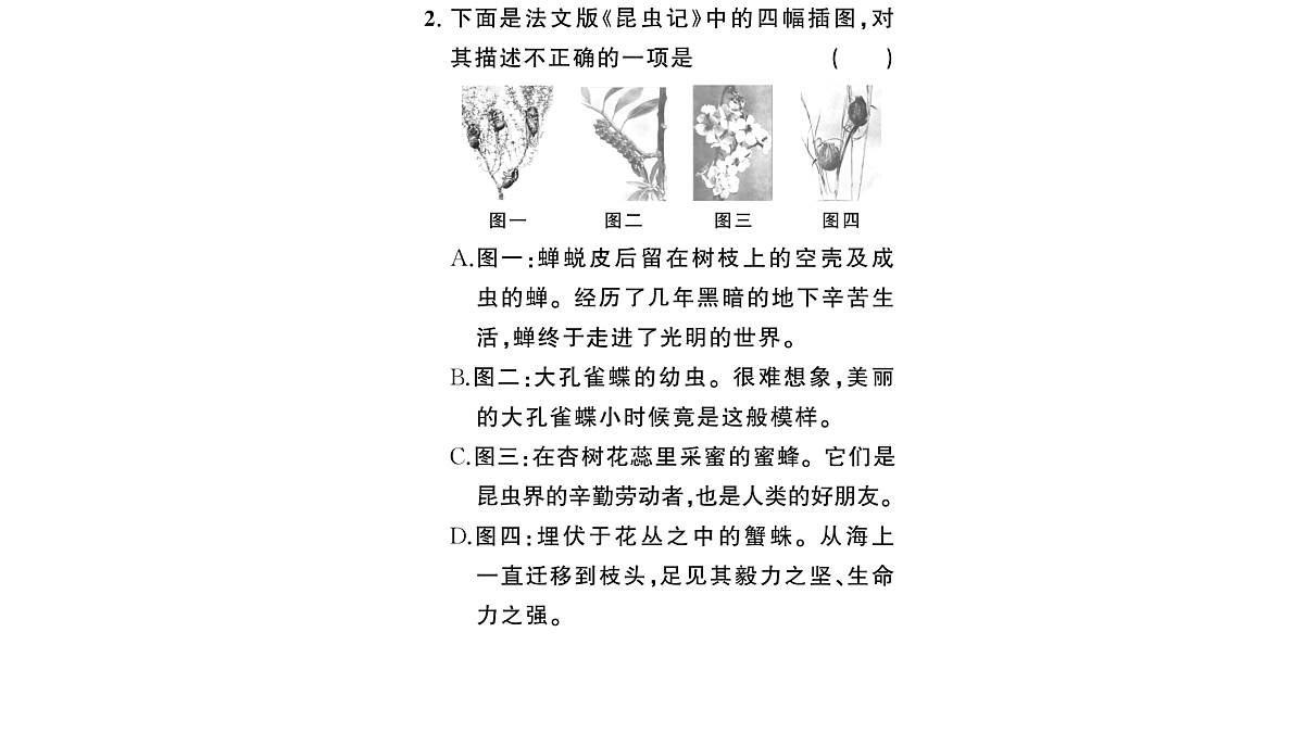 18448830第3页