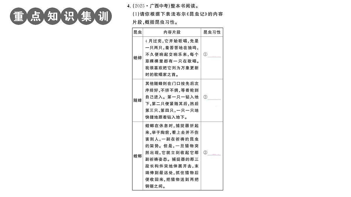 18448830第5页