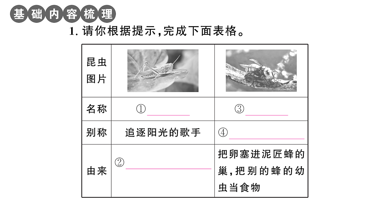 18448831第2页