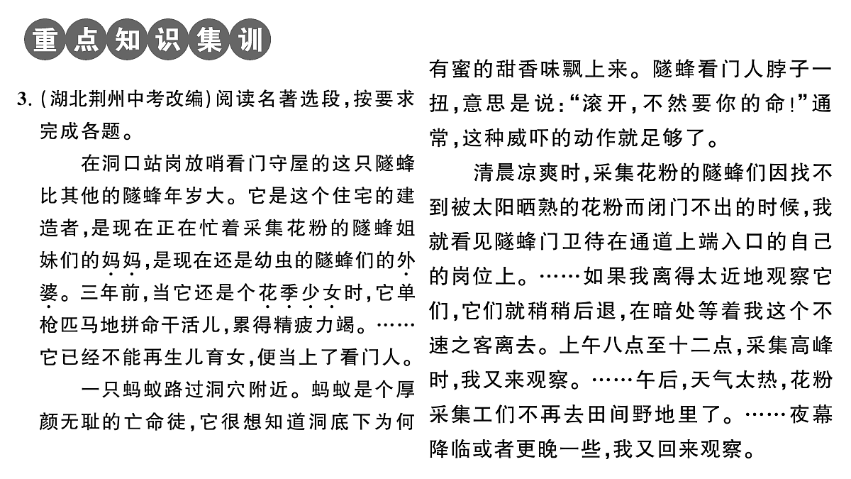 18448831第4页