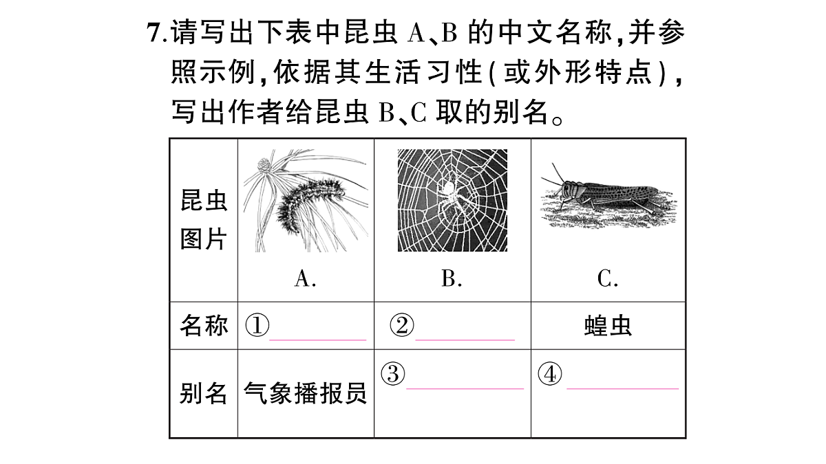 18448832第8页