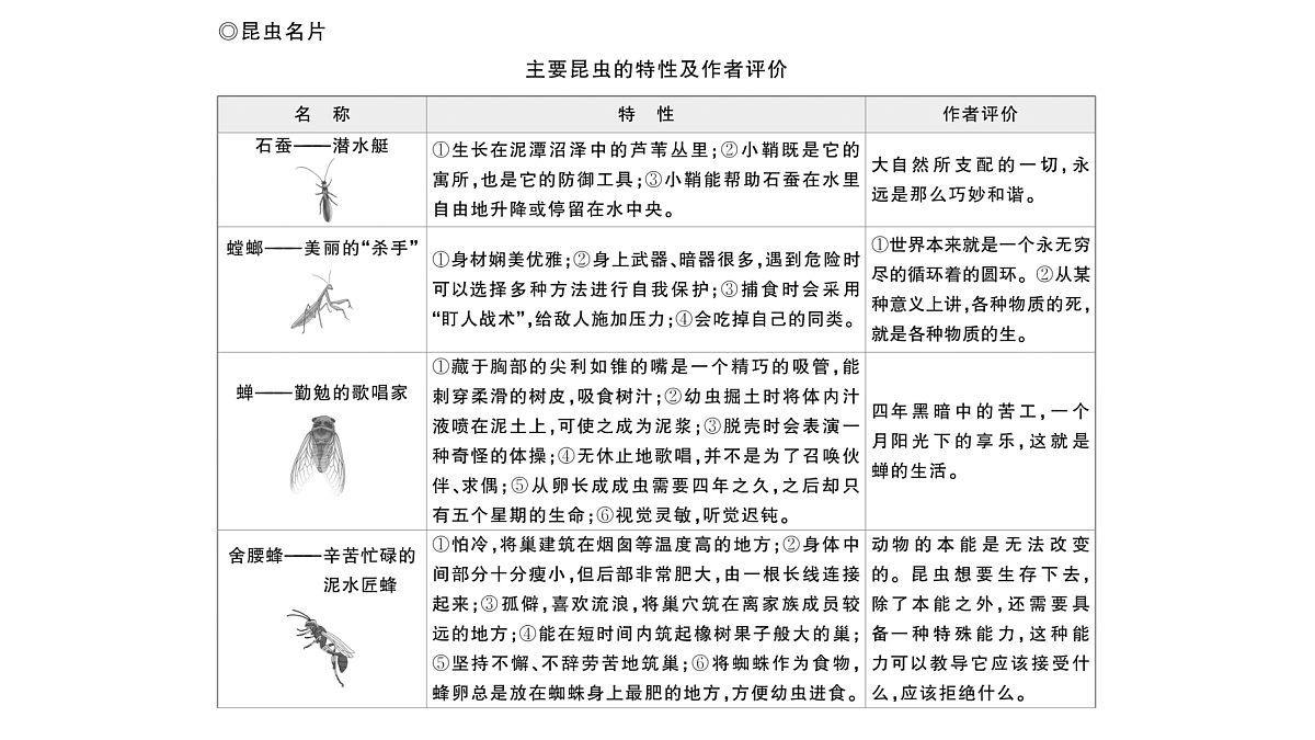 18448833第4页