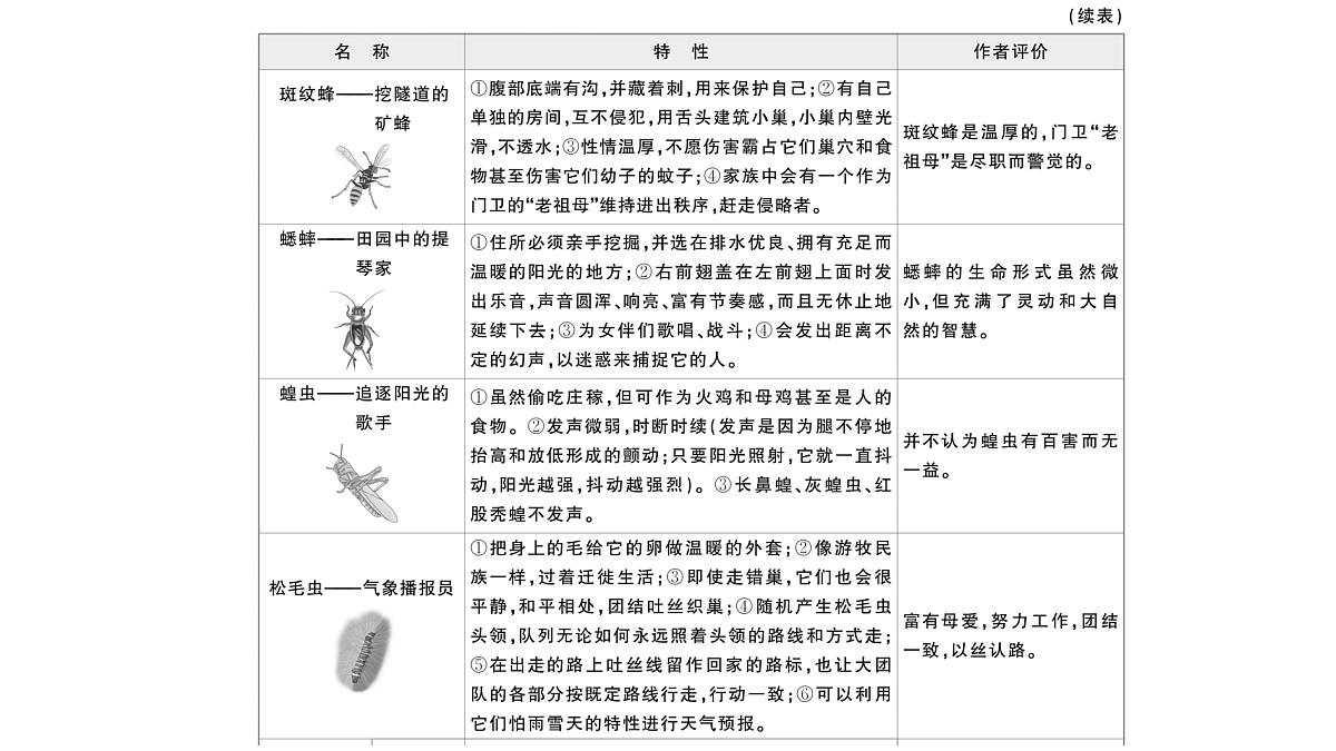 18448833第5页