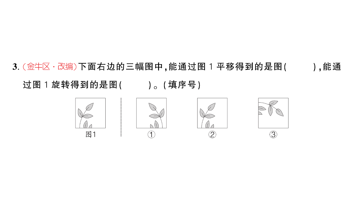 18448886第3页