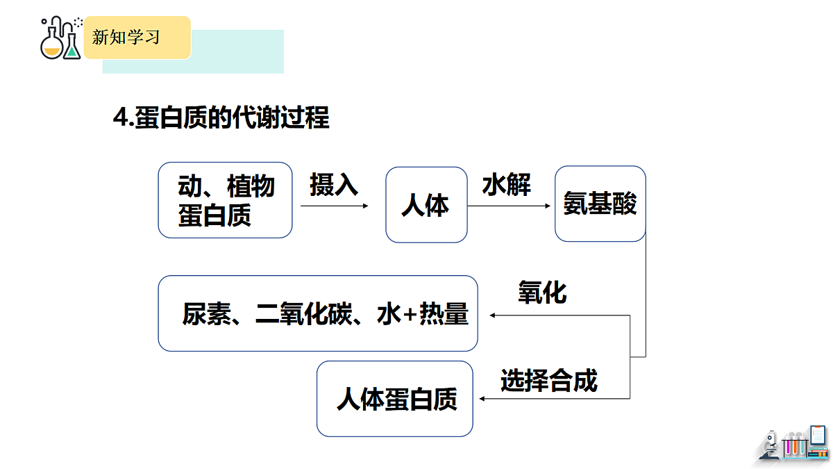 18451275第8页