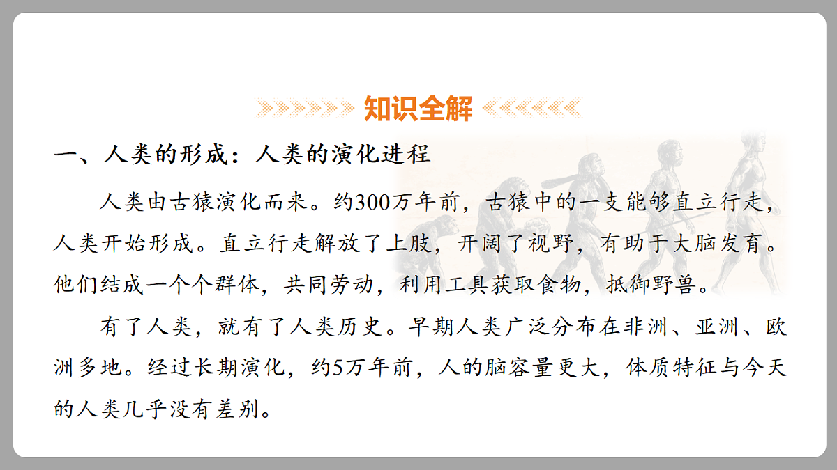 18453058第4页