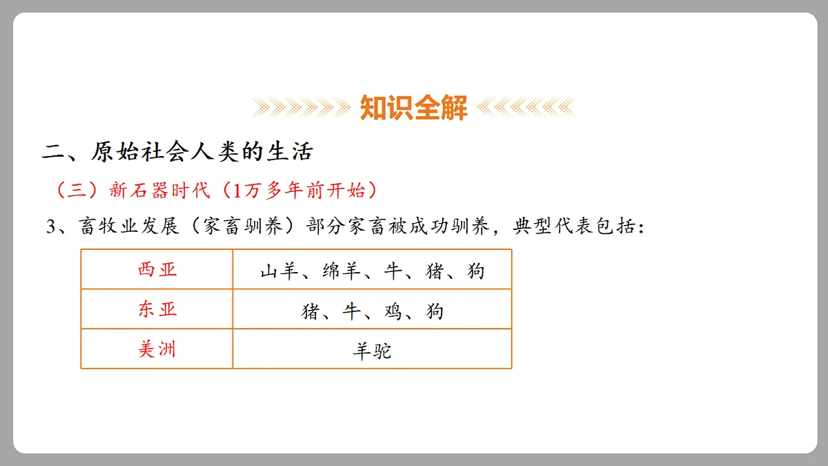 18453058第8页