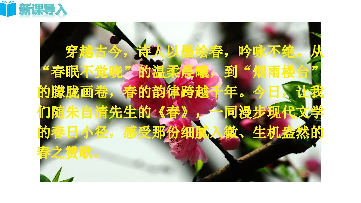18453200第1页