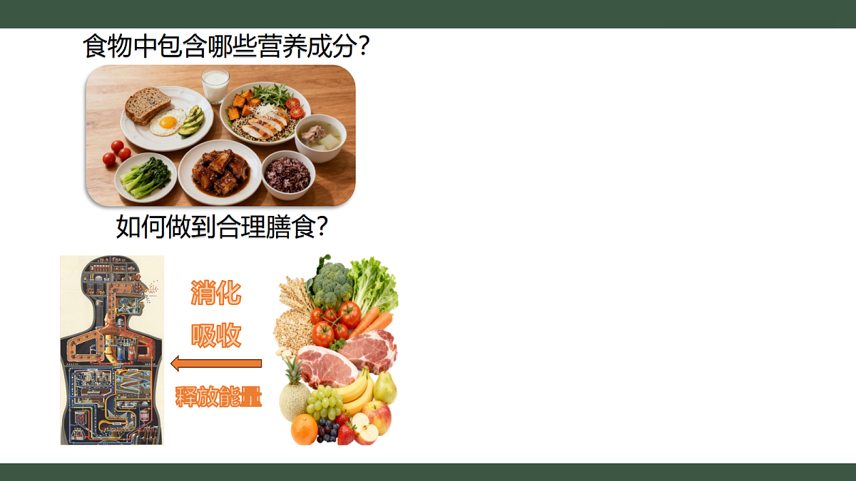 18455564第2页