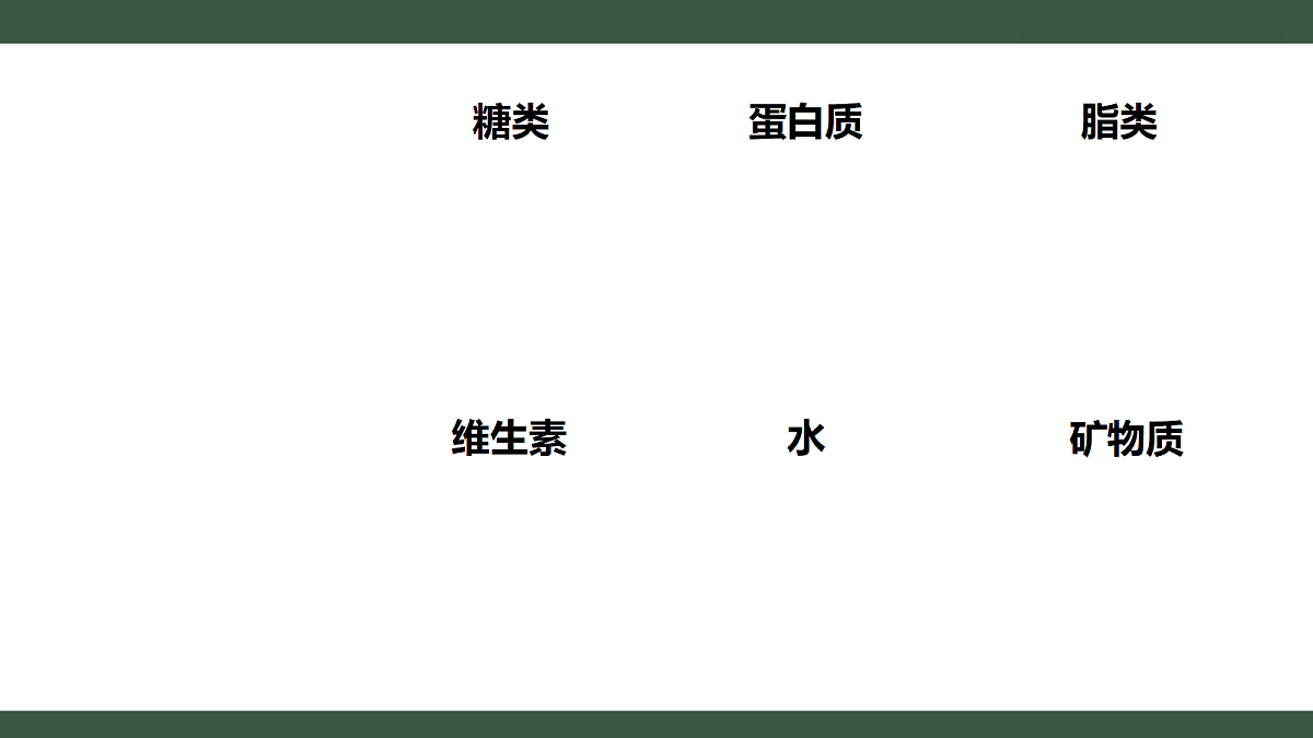 18455564第3页