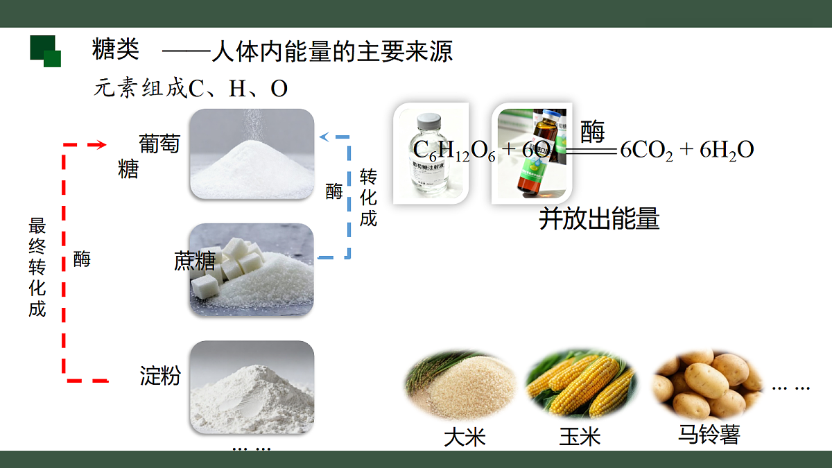18455564第5页