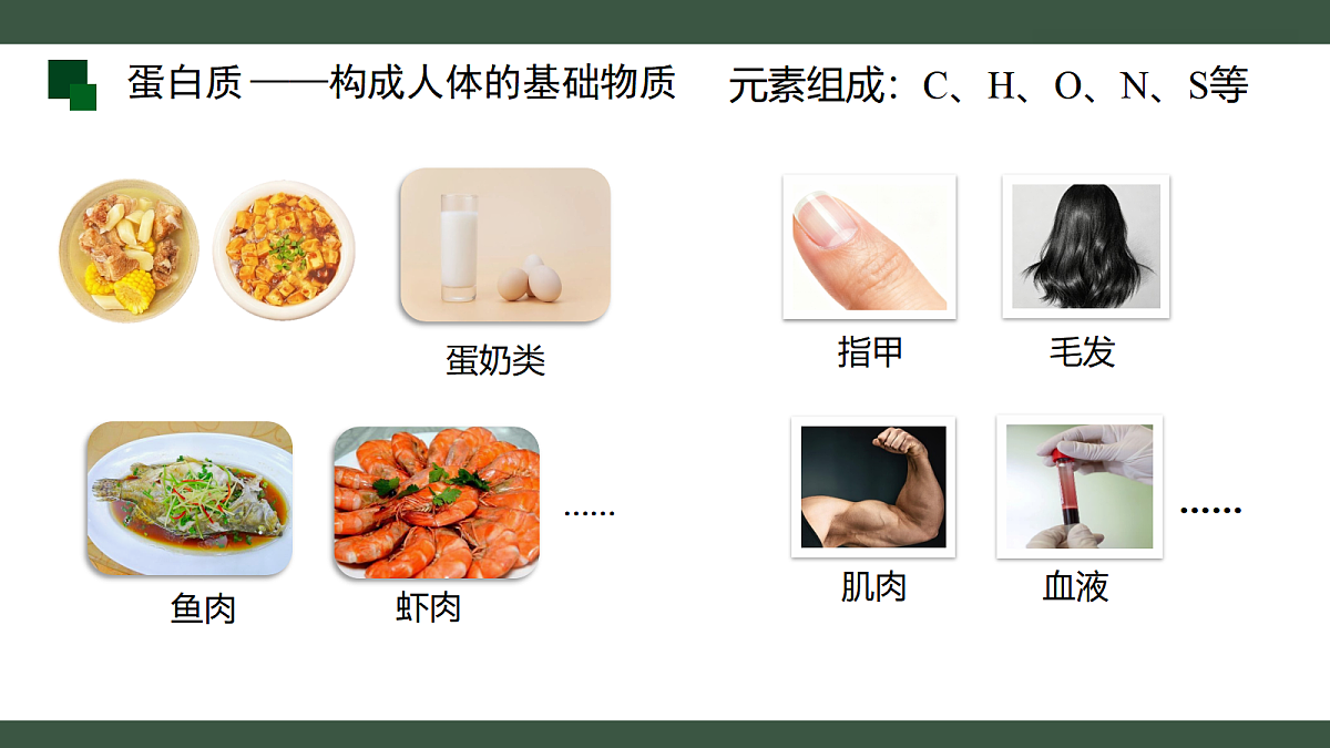 18455564第7页