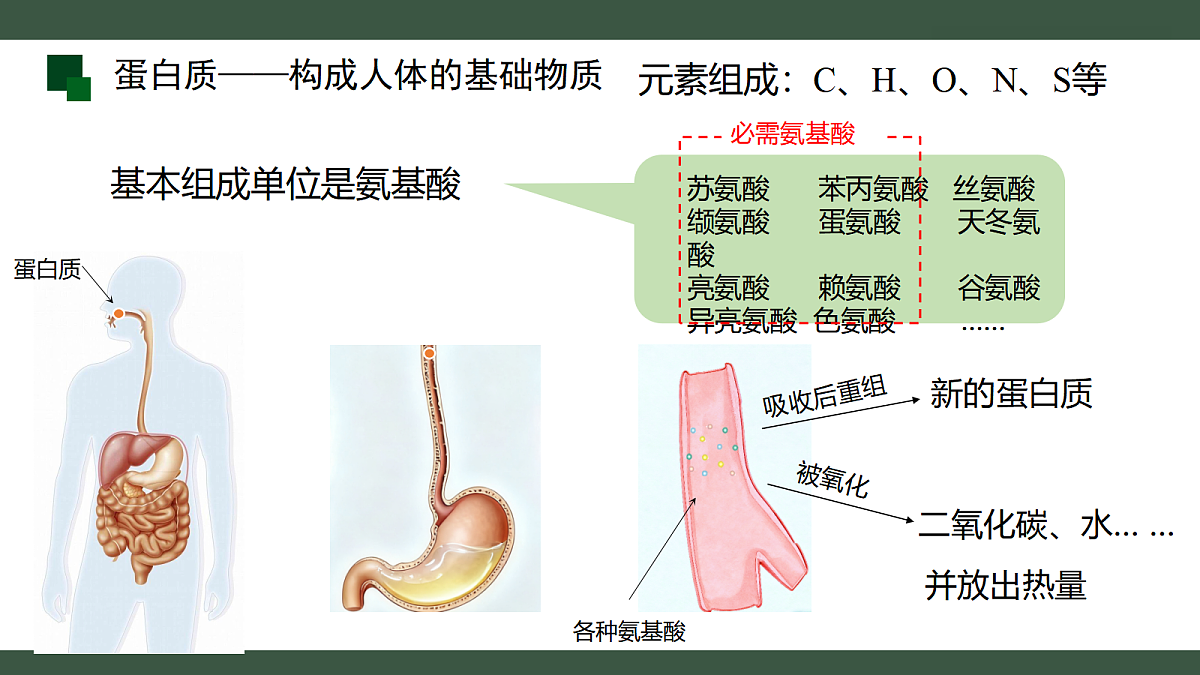 18455564第8页
