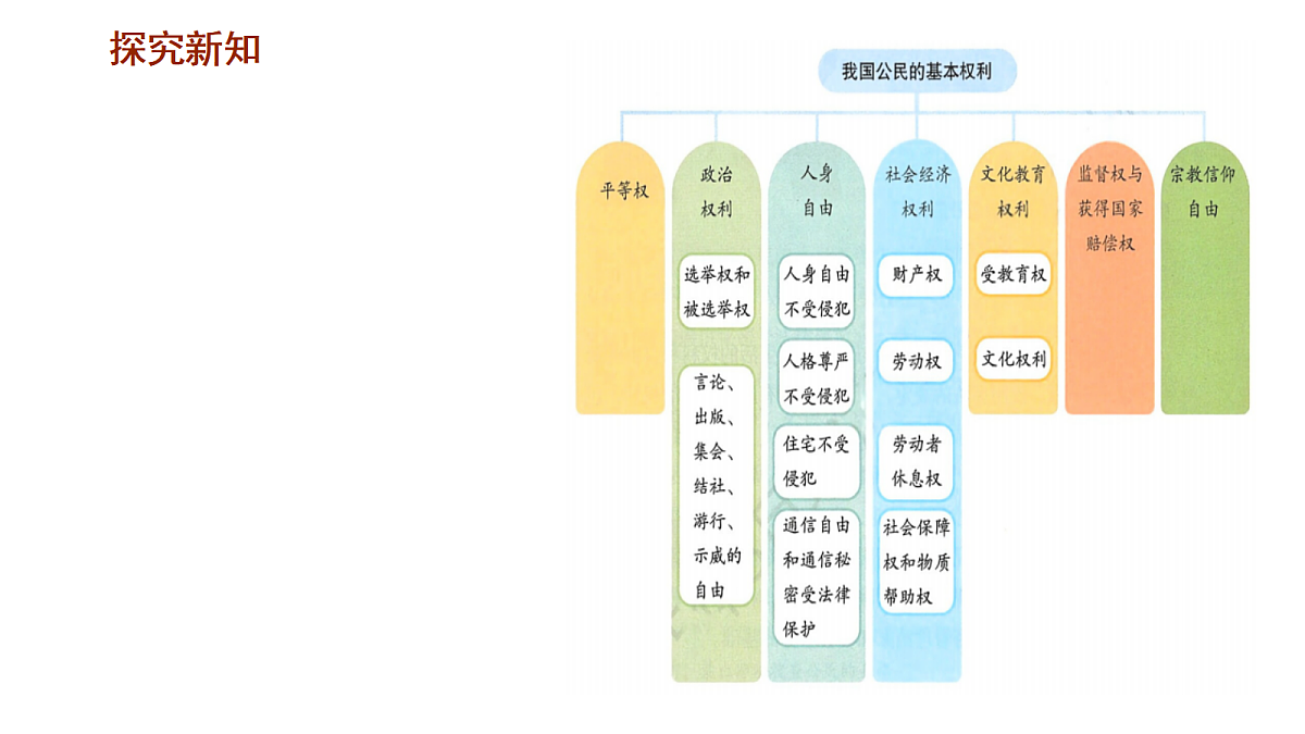18456010第7页