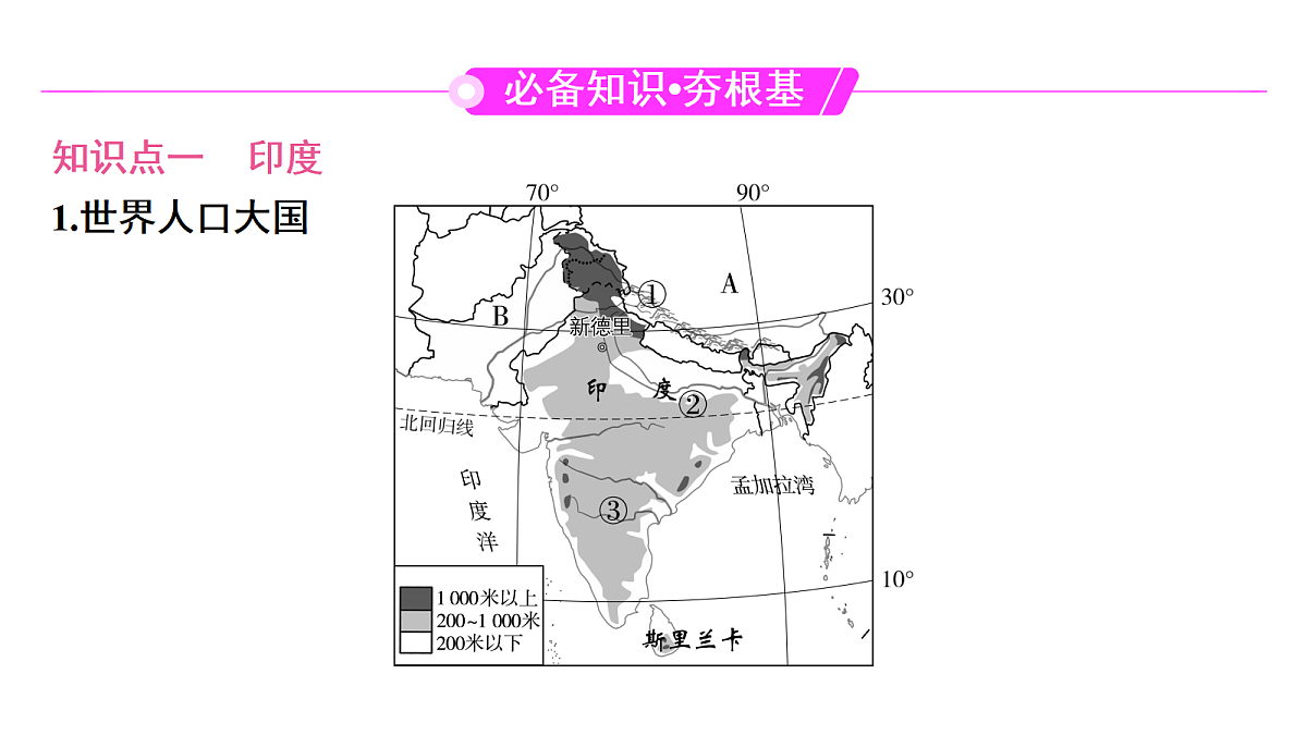 18456127第2页