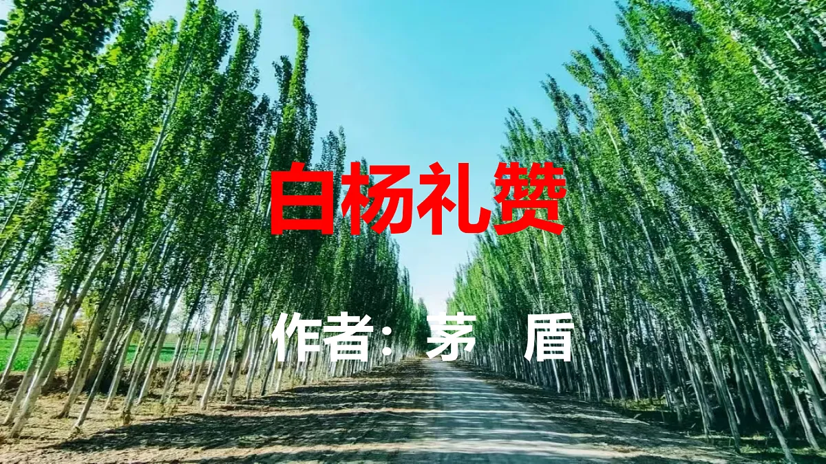 18457573第2页