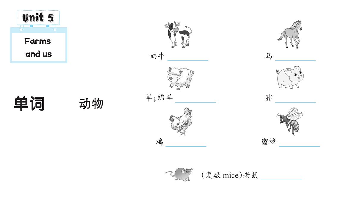 18457928第3页