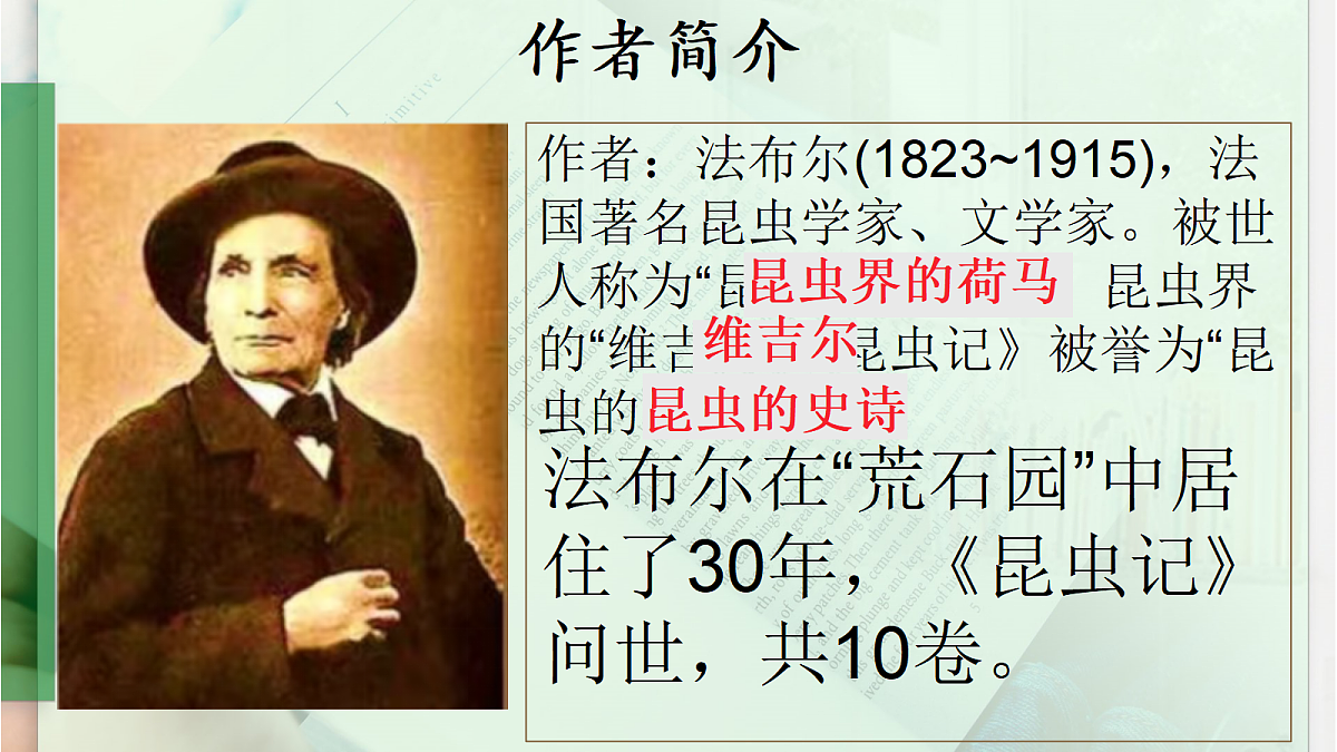 18458126第3页