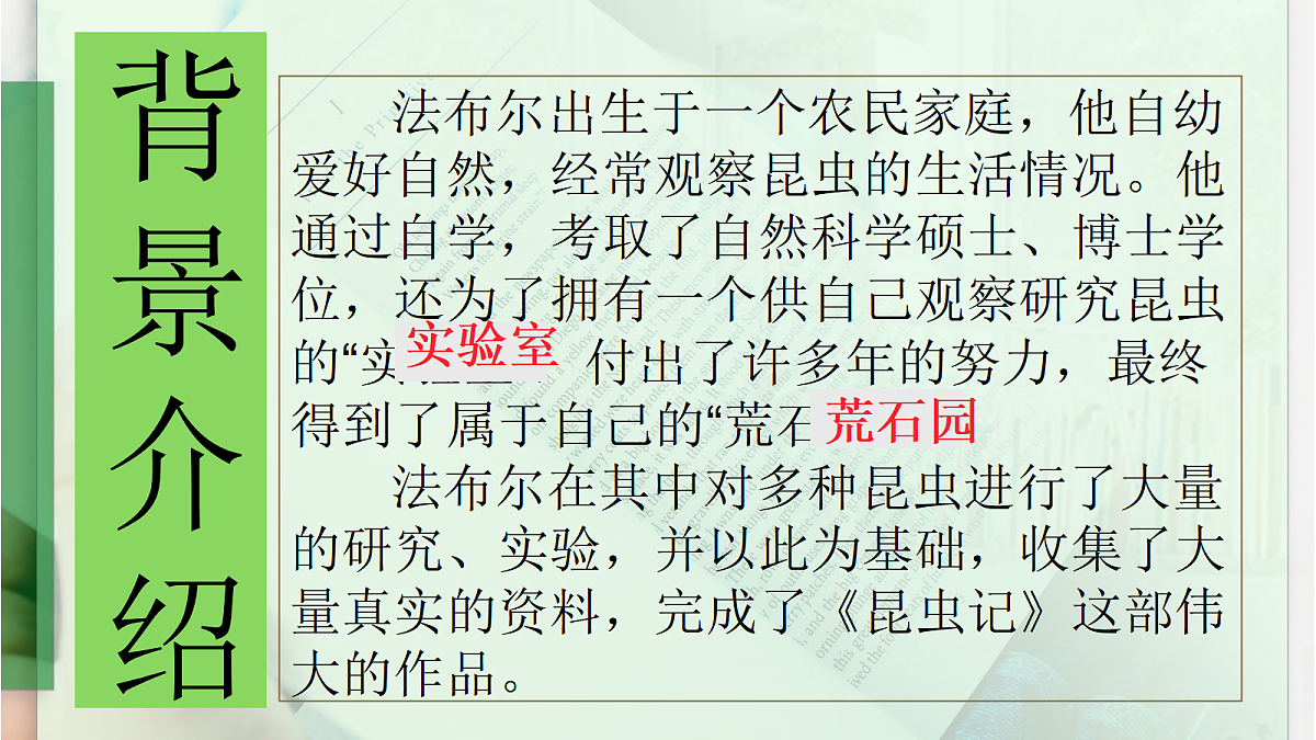 18458126第4页