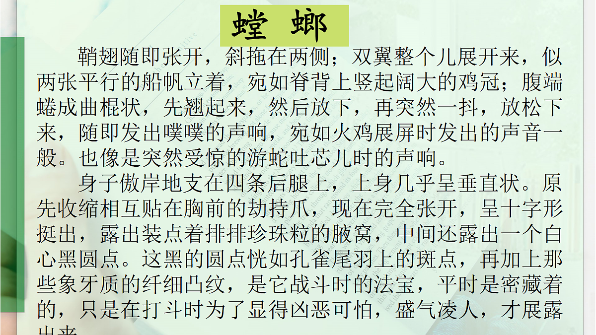 18458126第6页