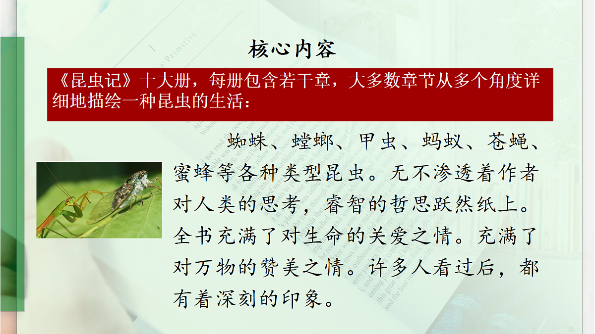 18458126第8页