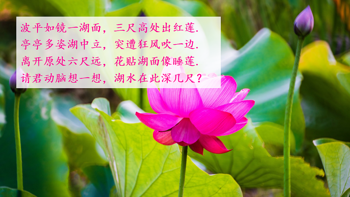 18458678第4页