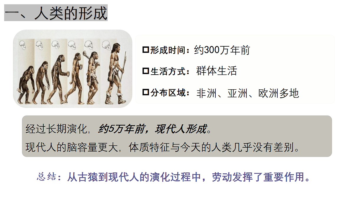 18460195第4页