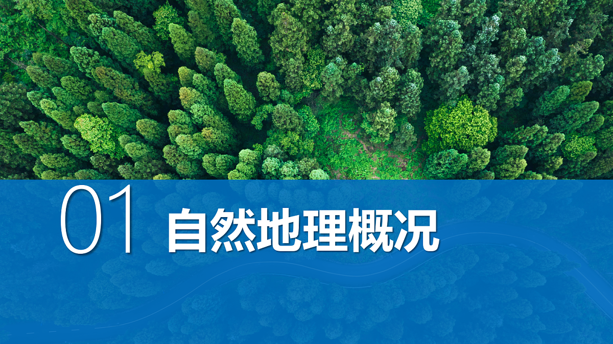 18460374第6页