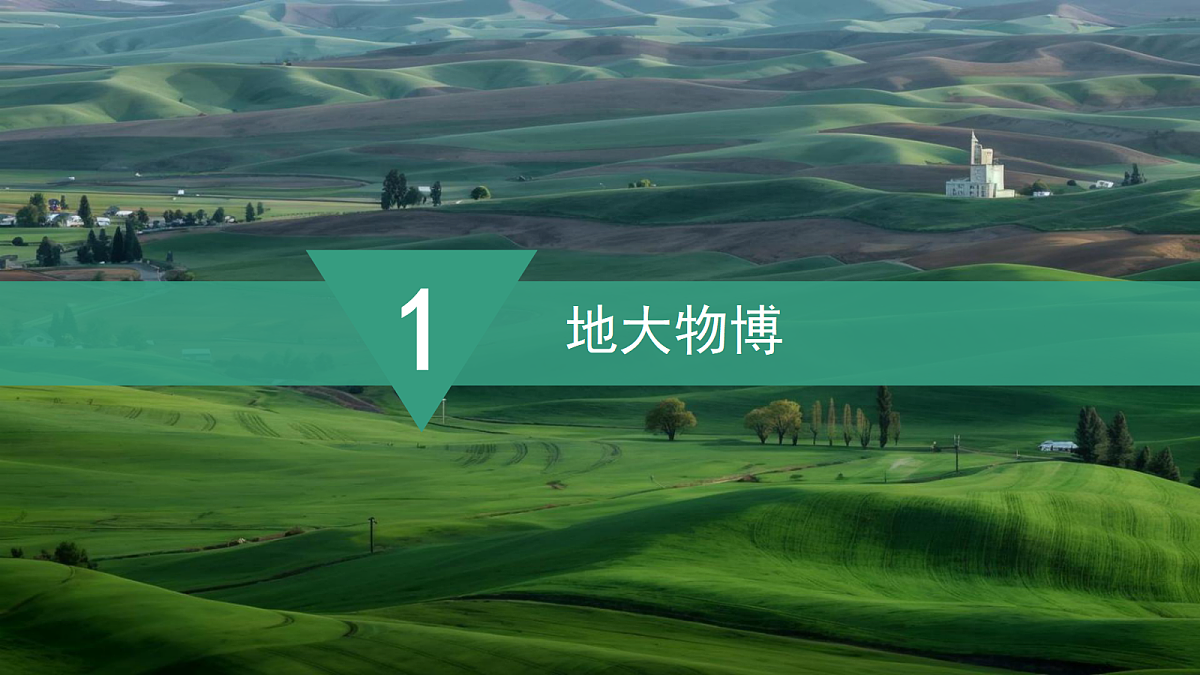 18460379第3页