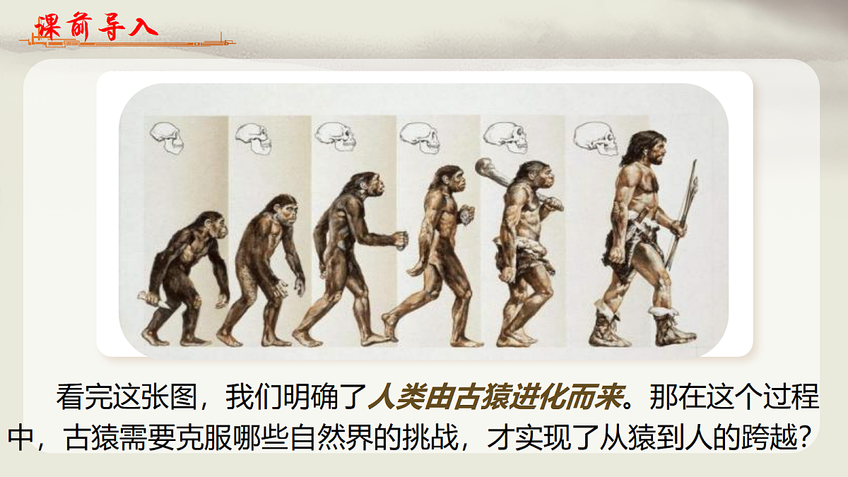 18460762第3页
