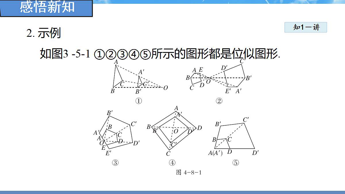 18460852第5页