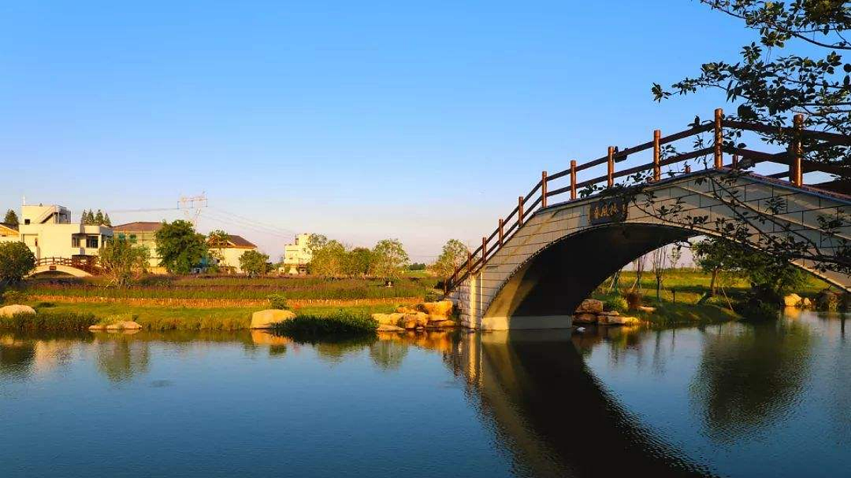 18461385第2页