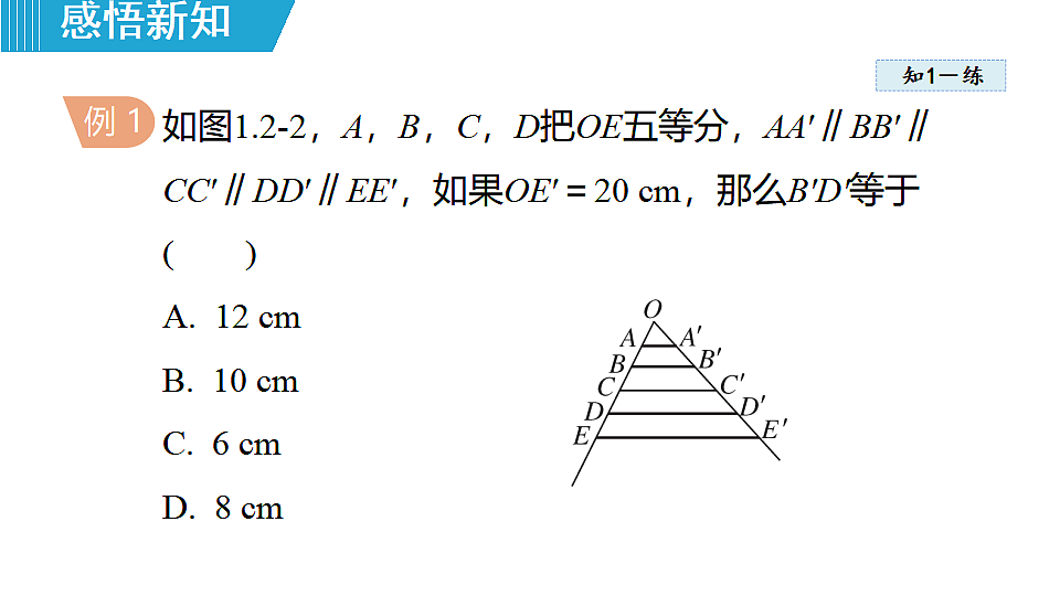 18462542第6页