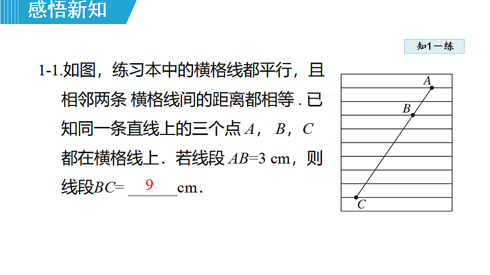 18462542第8页