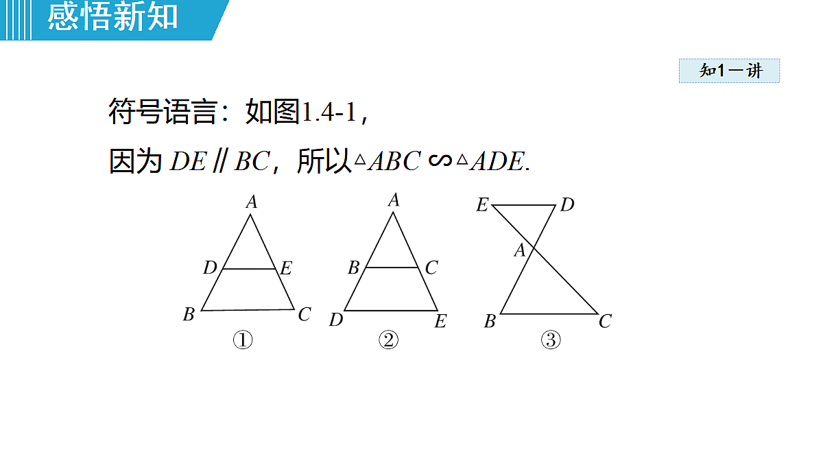 18462544第4页