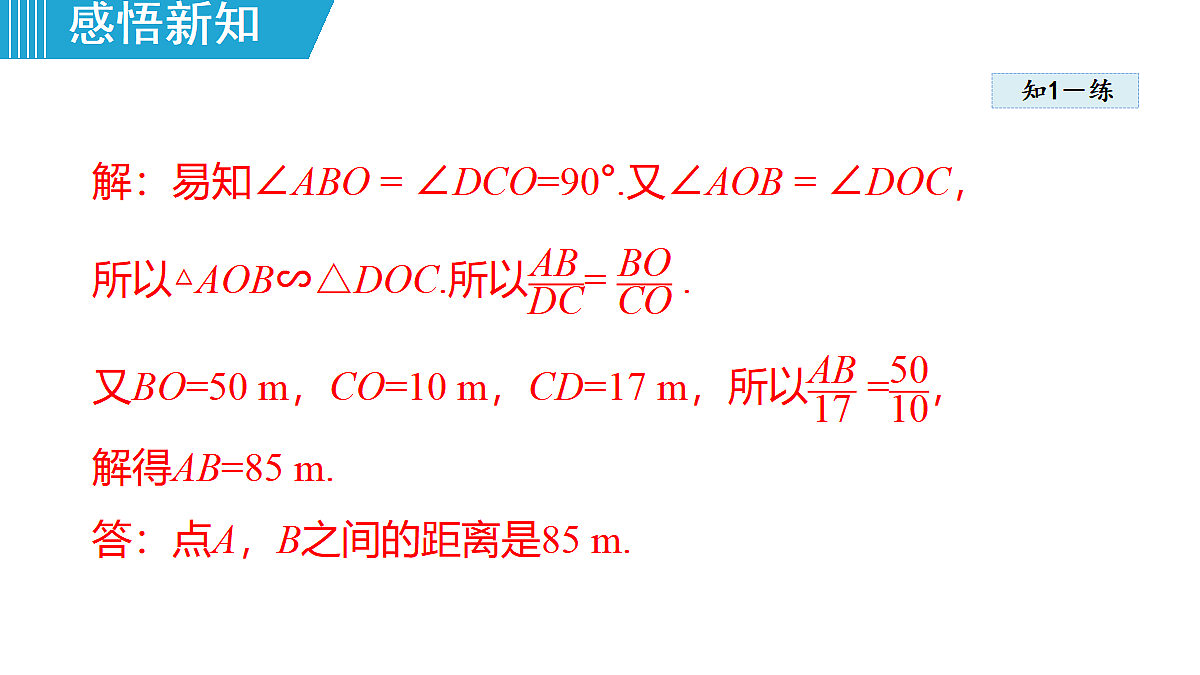 18462546第8页