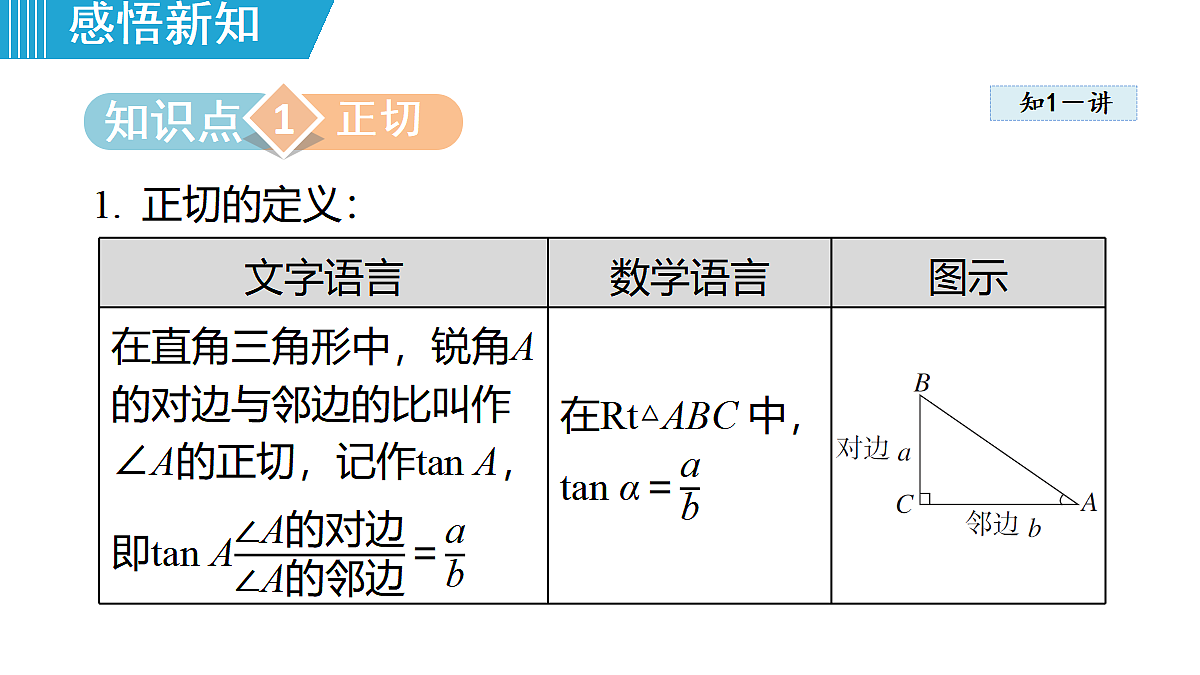 18462548第3页