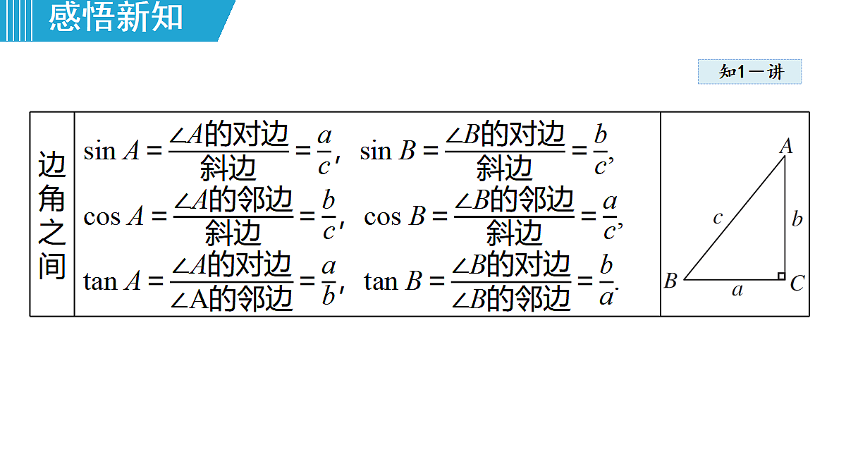 18462549第7页