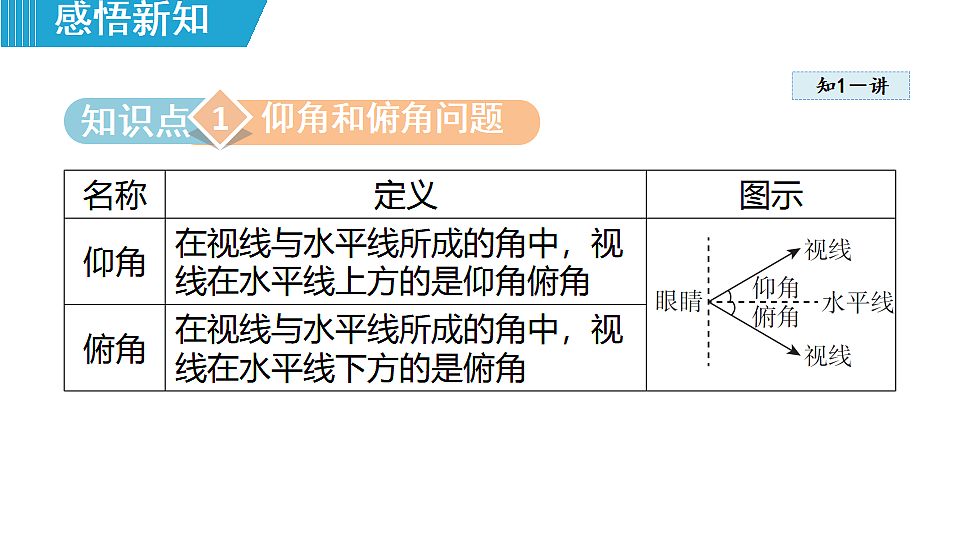 18462550第3页