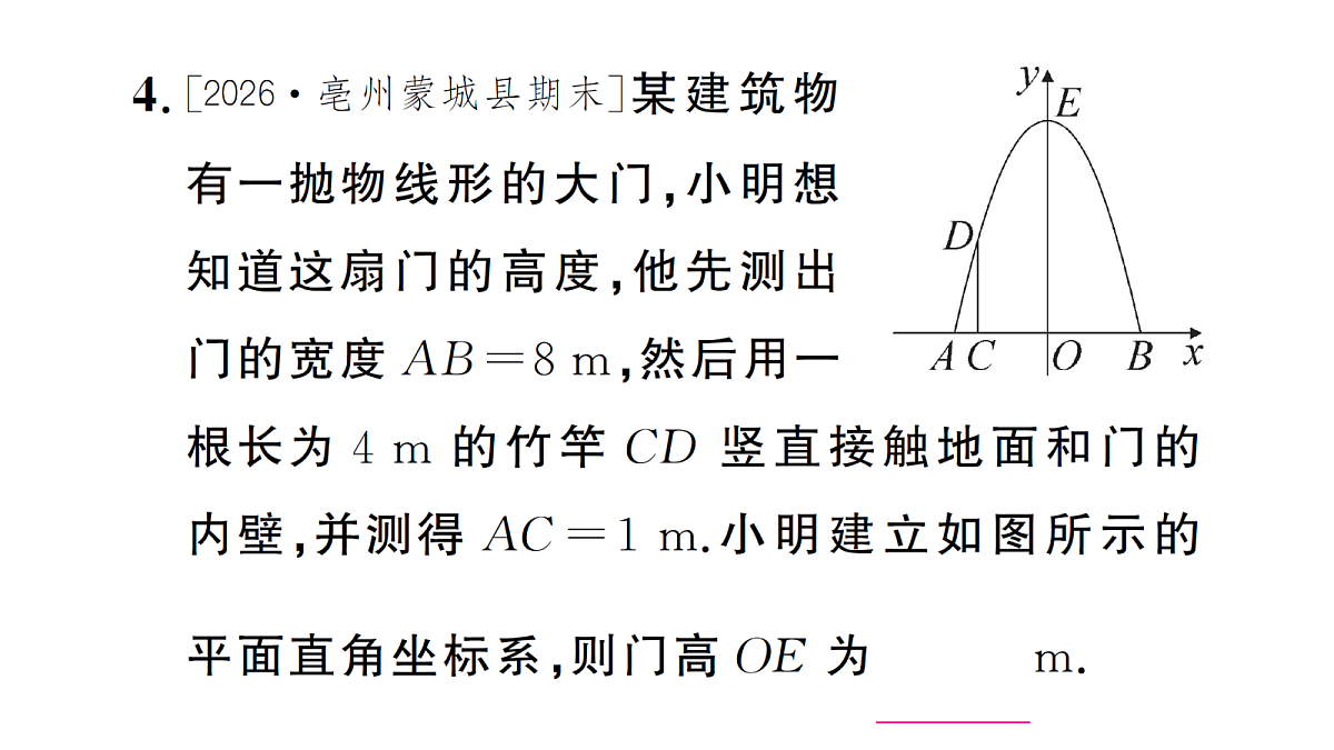 18463161第5页