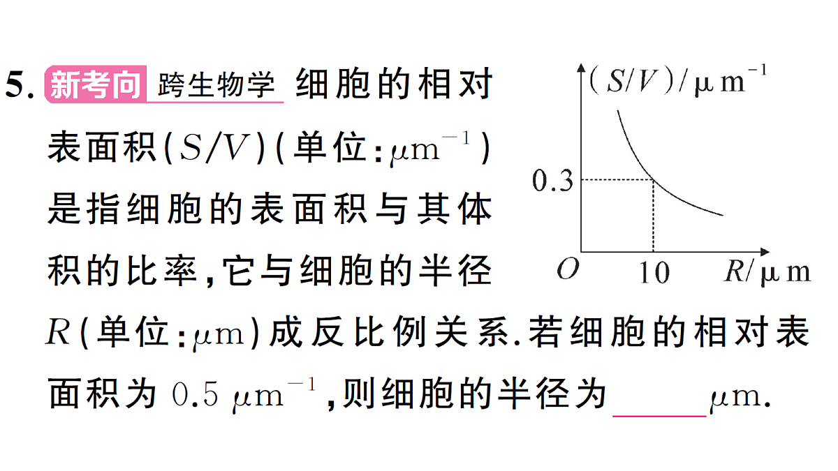 18463166第8页
