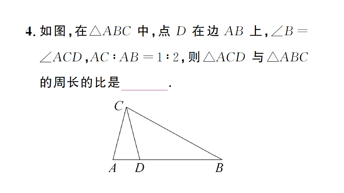 18463172第5页