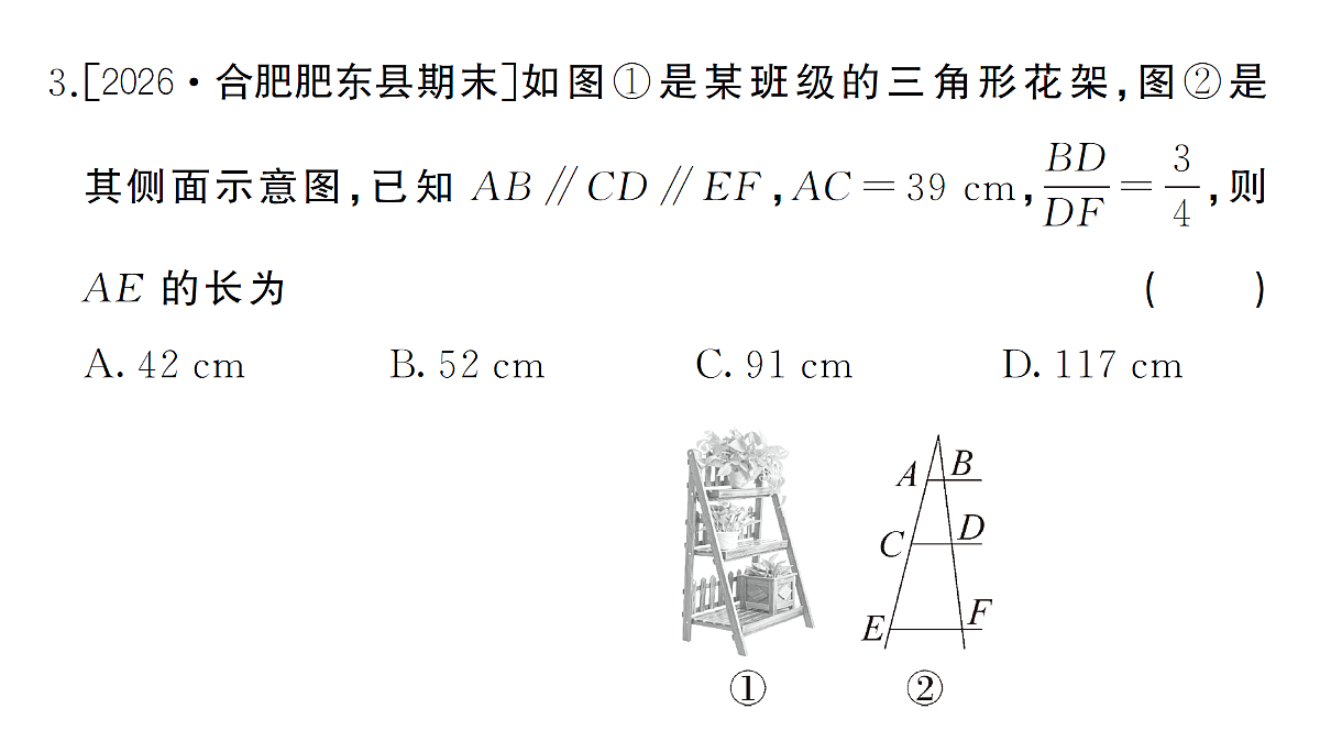 18463176第4页