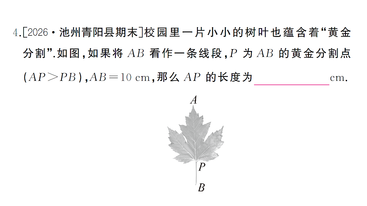 18463176第5页