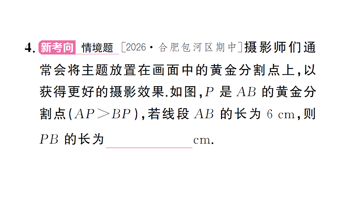 18463252第5页