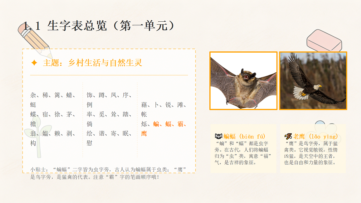 18463351第7页